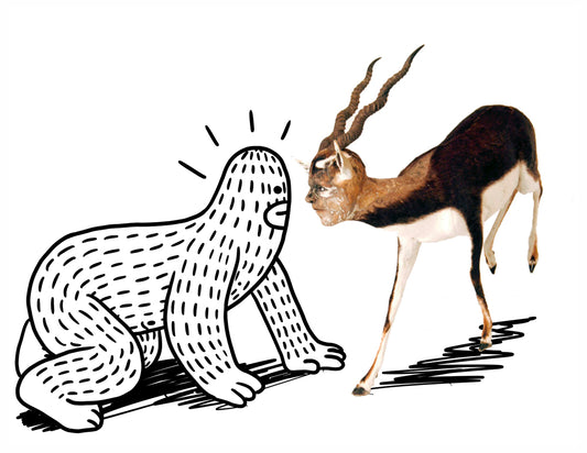 The Encounter