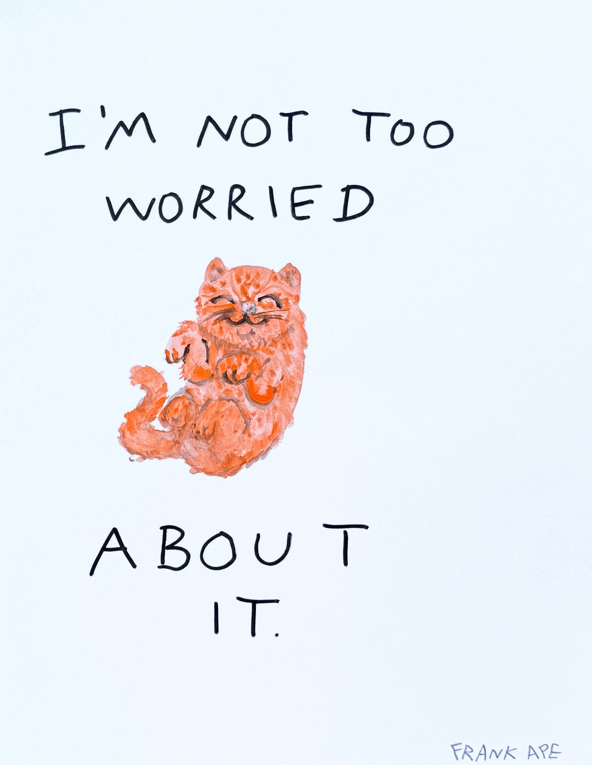 Cartoon cat named Spaghetti with text 'I'm not too worried about it' on a white background