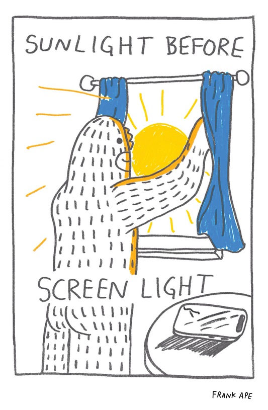 Sunlight - Art Print