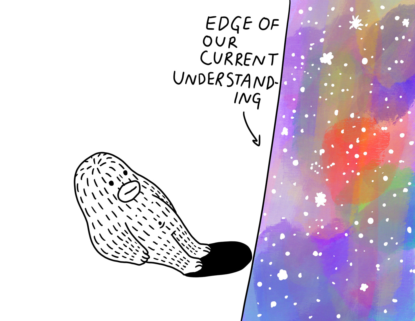 #72 - Edge of Current Understanding