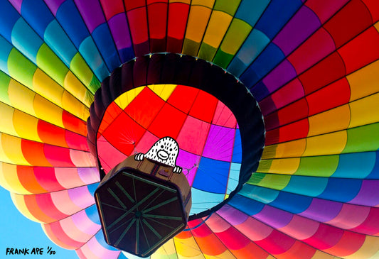 Up Up and Away